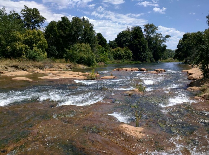 William Pond Park
